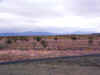 43630044.jpg (281312 bytes)