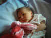 1weekold 002.jpg (484007 bytes)
