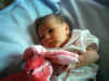 1weekold 002.jpg (264005 bytes)