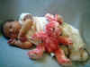 1weekold 010.jpg (421209 bytes)