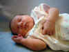 1weekold 011.jpg (383468 bytes)