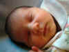 1weekold 013.jpg (379379 bytes)