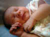 1weekold 014.jpg (368919 bytes)