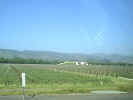 Opuswinery.jpg (190025 bytes)